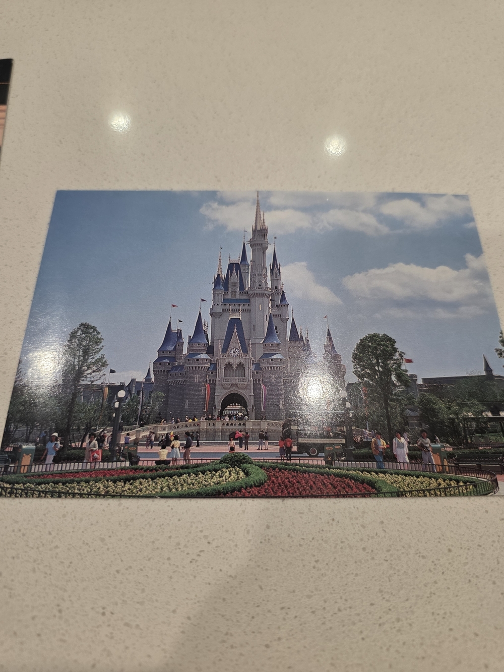 Vintage Tokyo Disneyland Postcard Lot (5) Cinderella Castle Safari Mickey 1980s - Picture 5 of 8